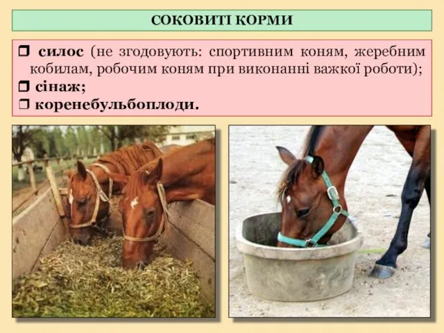 ❒ силос (не згодовують: спортивним коням, жеребним кобилам, робочим коням при