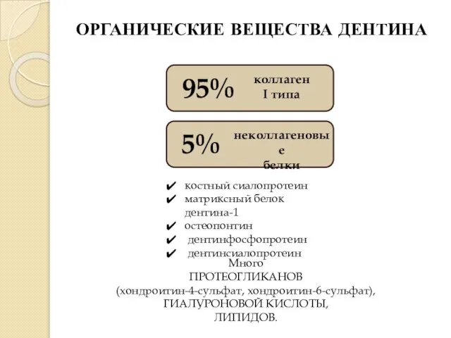 ОРГАНИЧЕСКИЕ ВЕЩЕСТВА ДЕНТИНА костный сиалопротеин матриксный белок дентина-1 остеопонтин дентинфосфопротеин дентинсиалопротеин