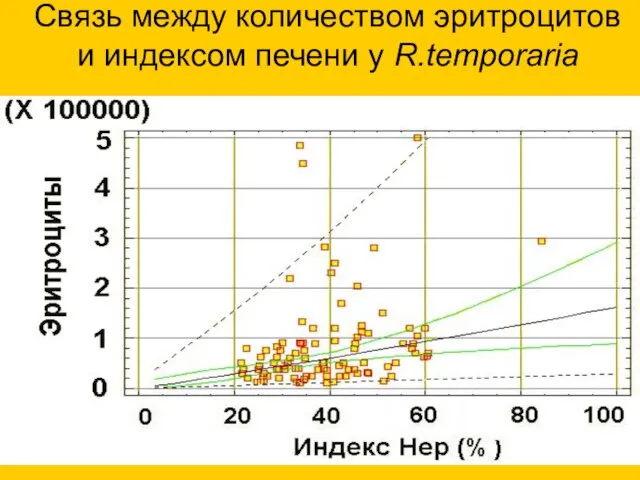 Связь между количеством эритроцитов и индексом печени у R.temporaria