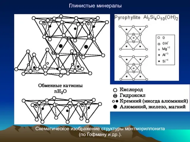 Глинистые минералы Схематическое изображение структуры монтмориллонита (по Гофману и др.).