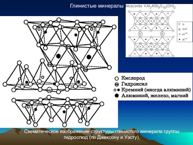 Глинистые минералы Схематическое изображение структуры глинистого минерала группы гидрослюд (по Джексону и Уэсту).