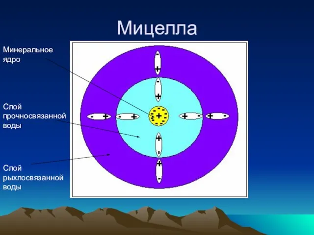 Мицелла Минеральное ядро Слой прочносвязанной воды Слой рыхлосвязанной воды