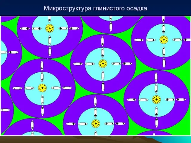 Микроструктура глинистого осадка