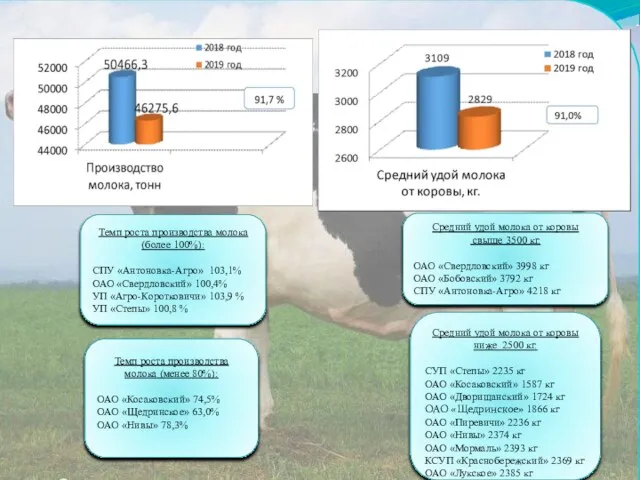 Средний удой молока от коровы свыше 3500 кг. ОАО «Свердловский» 3998