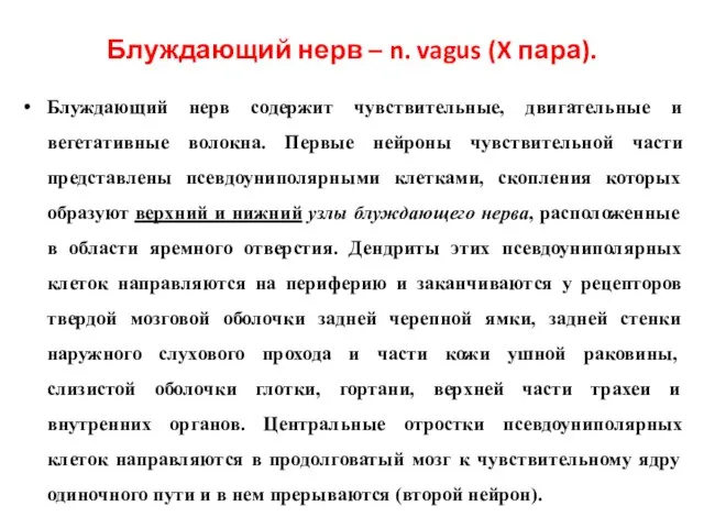 Блуждающий нерв – n. vagus (X пара). Блуждающий нерв содержит чувствительные,