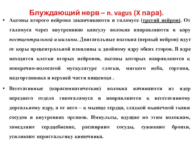 Блуждающий нерв – n. vagus (X пара). Аксоны второго нейрона заканчиваются