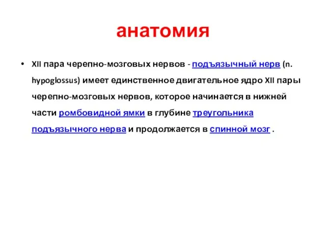 анатомия XII пара черепно-мозговых нервов - подъязычный нерв (n. hypoglossus) имеет