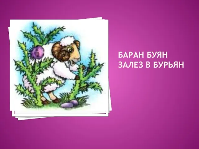 БАРАН БУЯН ЗАЛЕЗ В БУРЬЯН