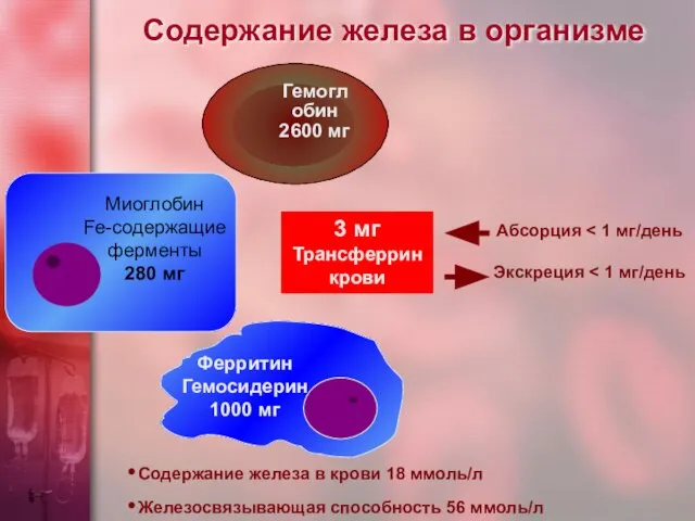 Содержание железа в организме Содержание железа в крови 18 ммоль/л Железосвязывающая способность 56 ммоль/л