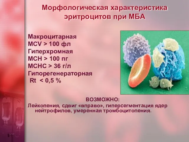 Морфологическая характеристика эритроцитов при МБА Макроцитарная MCV > 100 фл Гиперхромная