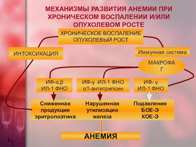 МЕХАНИЗМЫ РАЗВИТИЯ АНЕМИИ ПРИ ХРОНИЧЕСКОМ ВОСПАЛЕНИИ И/ИЛИ ОПУХОЛЕВОМ РОСТЕ ХРОНИЧЕСКОЕ ВОСПАЛЕНИЕ