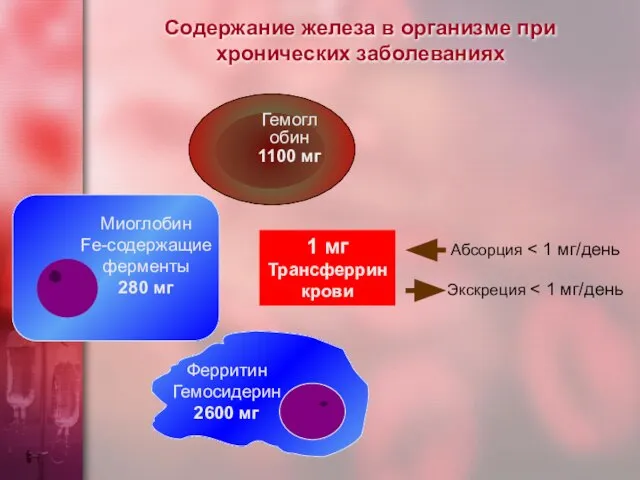 Содержание железа в организме при хронических заболеваниях