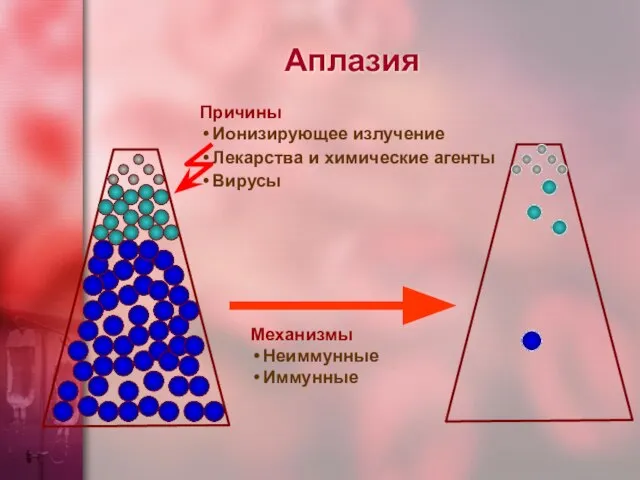 Аплазия Причины Ионизирующее излучение Лекарства и химические агенты Вирусы Механизмы Неиммунные Иммунные