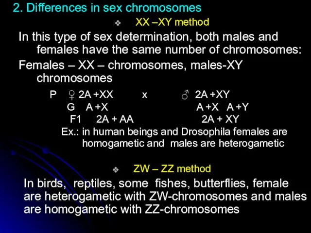 2. Differences in sex chromosomes XX –XY method In this type