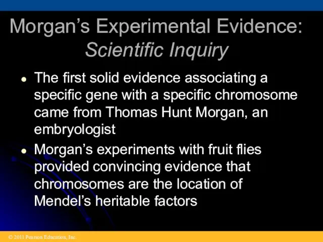 Morgan’s Experimental Evidence: Scientific Inquiry The first solid evidence associating a
