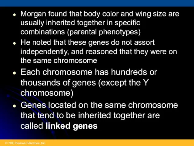 Morgan found that body color and wing size are usually inherited