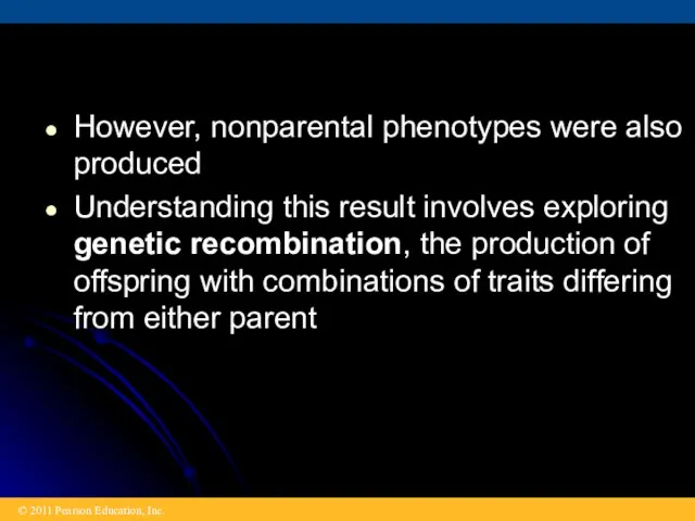 However, nonparental phenotypes were also produced Understanding this result involves exploring