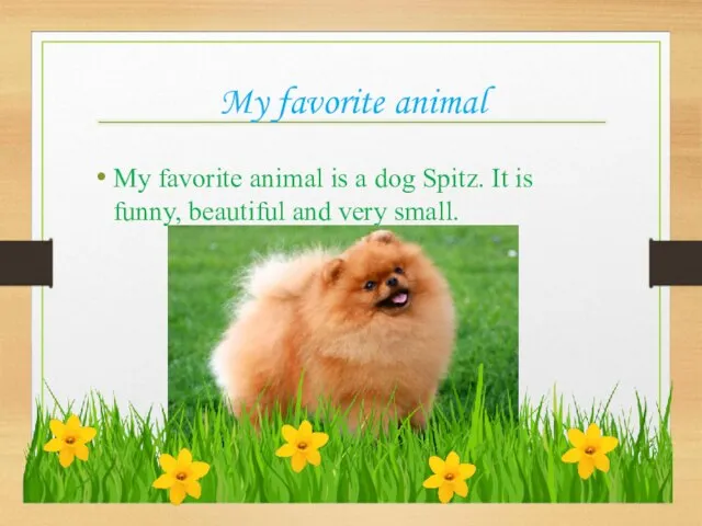 My favorite animal My favorite animal is a dog Spitz. It