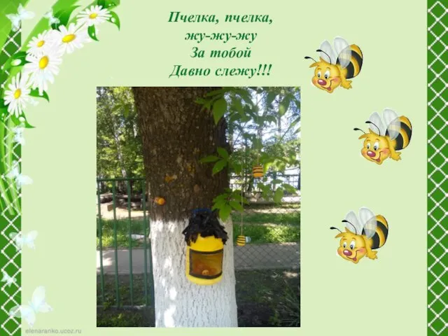 Пчелка, пчелка, жу-жу-жу За тобой Давно слежу!!!