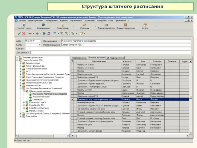 Структура штатного расписания