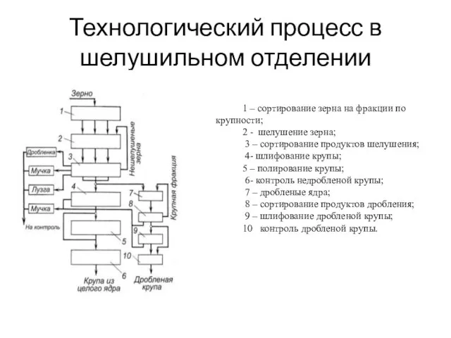 Технологический процесс в шелушильном отделении 1 – сортирование зерна на фракции