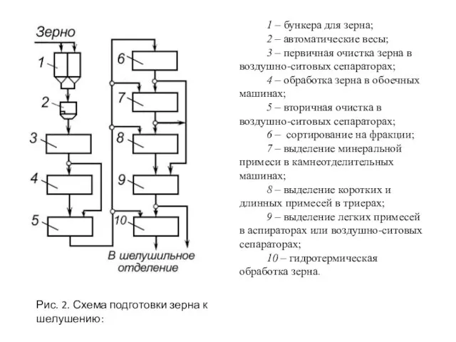 Рис. 2. Схема подготовки зерна к шелушению: 1 – бункера для