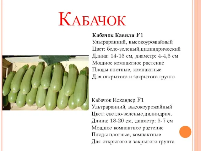 Кабачок