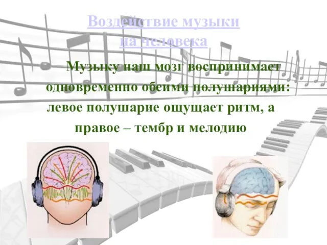 Воздействие музыки на человека Музыку наш мозг воспринимает одновременно обеими полушариями:
