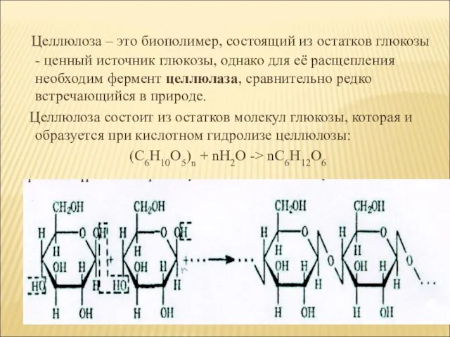 Целлюлоза – это биополимер, состоящий из остатков глюкозы - ценный источник