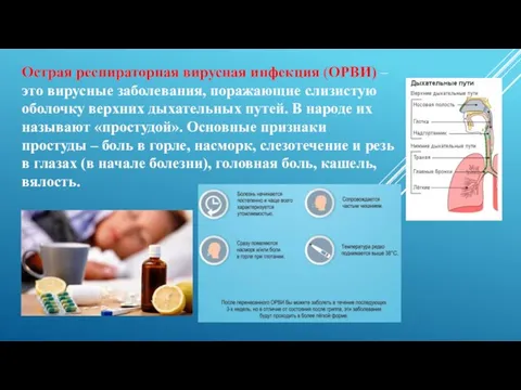 Острая респираторная вирусная инфекция (ОРВИ) – это вирусные заболевания, поражающие слизистую