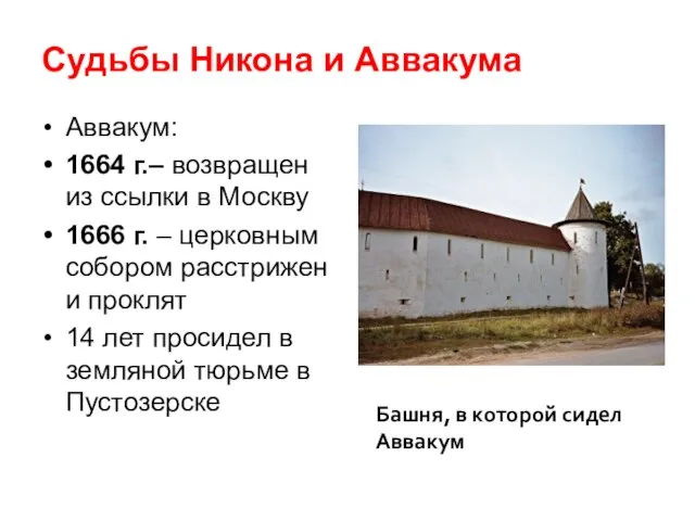 Судьбы Никона и Аввакума Аввакум: 1664 г.– возвращен из ссылки в