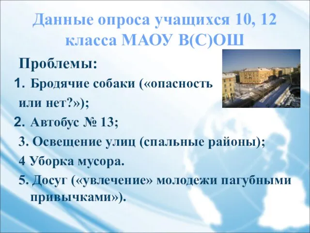 Проблемы: Бродячие собаки («опасность или нет?»); Автобус № 13; 3. Освещение