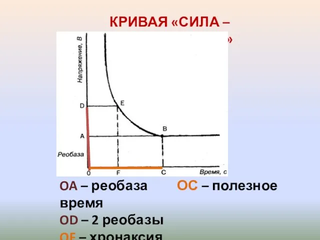 КРИВАЯ «СИЛА – ДЛИТЕЛЬНОСТЬ» OA – реобаза ОС – полезное время