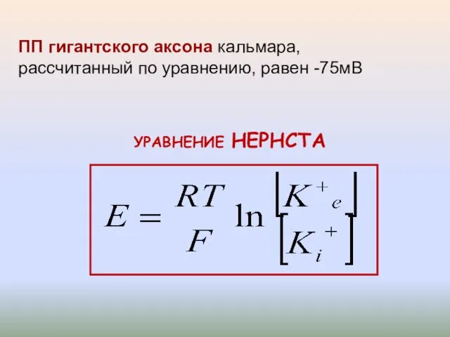 ПП гигантского аксона кальмара, рассчитанный по уравнению, равен -75мВ УРАВНЕНИЕ НЕРНСТА