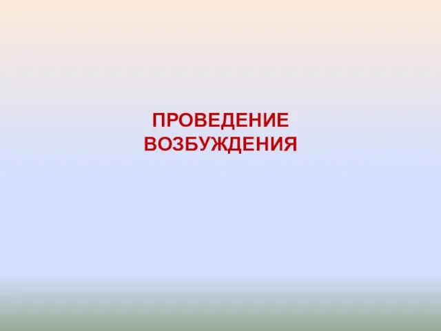 ПРОВЕДЕНИЕ ВОЗБУЖДЕНИЯ