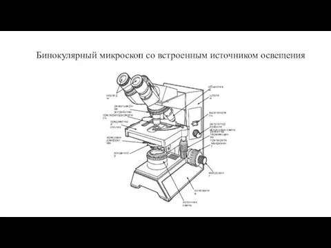 Бинокулярный микроскоп со встроенным источником освещения