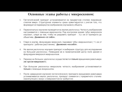 Основные этапы работы с микроскопом: Гистологический препарат устанавливается на предметном столике