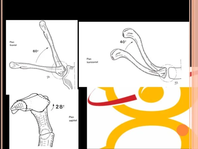 De l’abduction: CIR Sterno-claviculaire