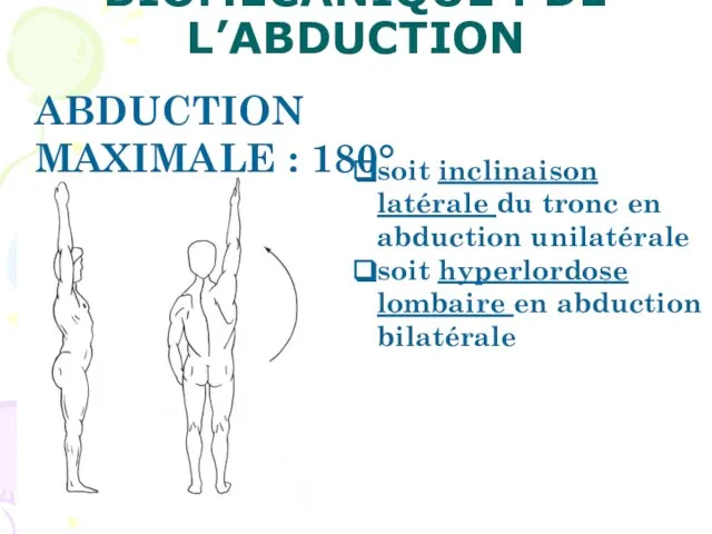 BIOMÉCANIQUE : DE L’ABDUCTION ABDUCTION MAXIMALE : 180° soit inclinaison latérale