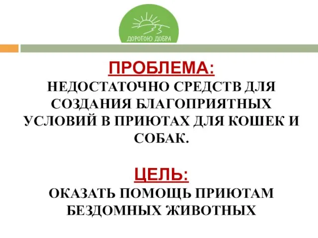 ПРОБЛЕМА: НЕДОСТАТОЧНО СРЕДСТВ ДЛЯ СОЗДАНИЯ БЛАГОПРИЯТНЫХ УСЛОВИЙ В ПРИЮТАХ ДЛЯ КОШЕК