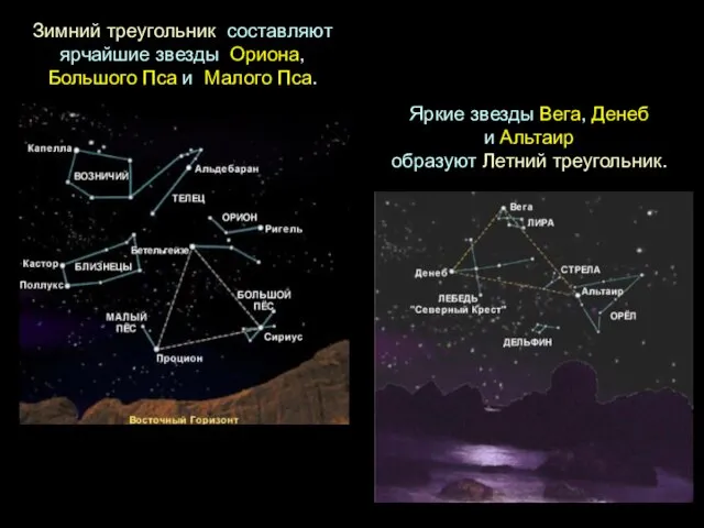 Зимний треугольник составляют ярчайшие звезды Ориона, Большого Пса и Малого Пса.