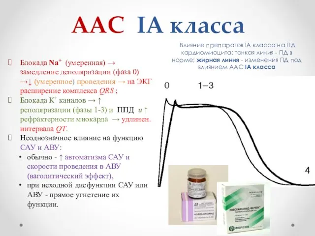 ААС IA класса Влияние препаратов IA класса на ПД кардиомиоцита: тонкая