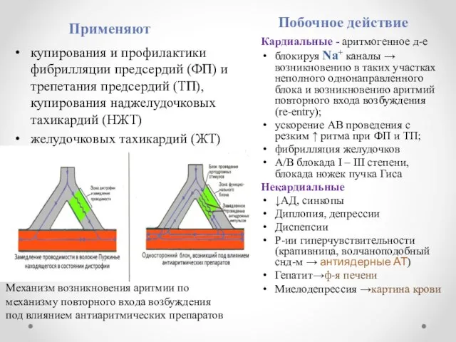 Применяют Побочное действие купирования и профилактики фибрилляции предсердий (ФП) и трепетания