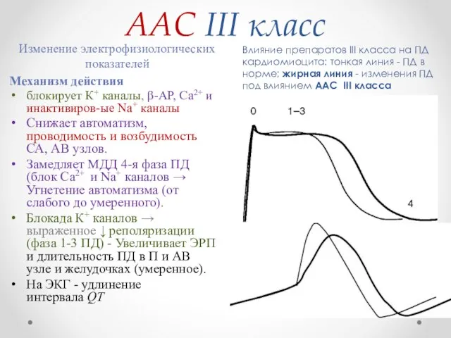 ААС III класс Изменение электрофизиологических показателей Влияние препаратов III класса на