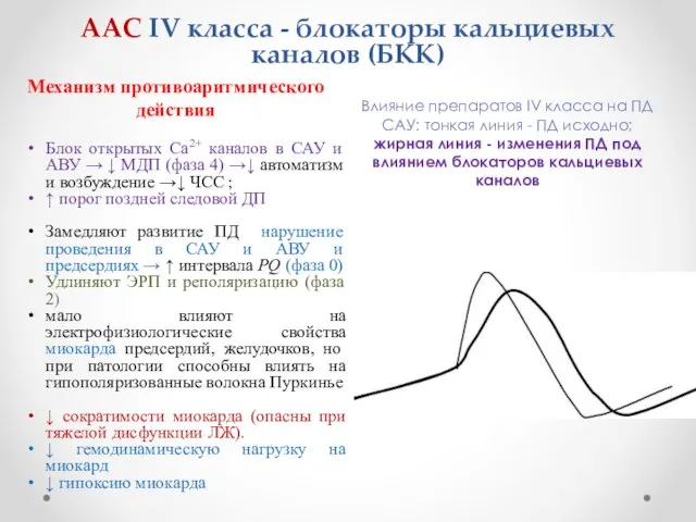 ААС IV класса - блокаторы кальциевых каналов (БКК) Механизм противоаритмического действия