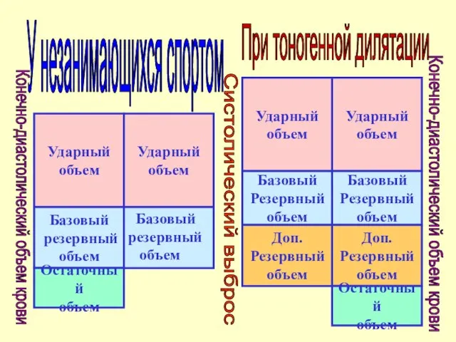 Ударный объем Конечно-диастолический объем крови Базовый резервный объем Остаточный объем Систолический