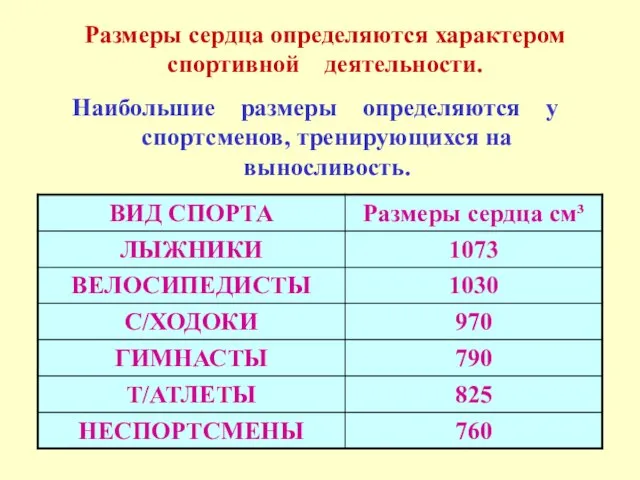 Размеры сердца определяются характером спортивной деятельности. Наибольшие размеры определяются у спортсменов, тренирующихся на выносливость.