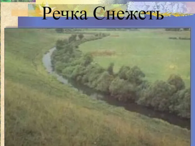 Речка Снежеть