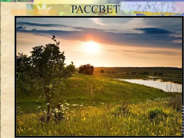 РАССВЕТ