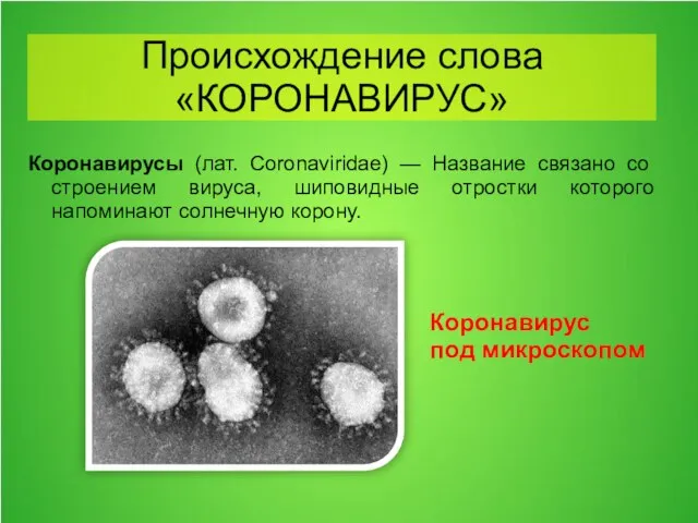 Коронавирусы (лат. Coronaviridae) — Название связано со строением вируса, шиповидные отростки